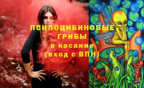 ALPHA PVP Краснослободск