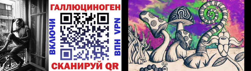 Купить где  Братск  Галлюциногенные грибы прущие грибы 